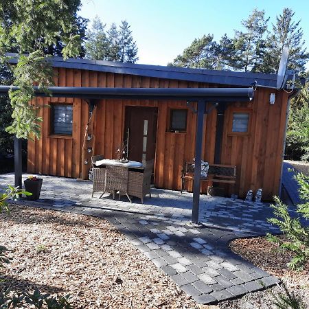 Ferienhaus Leon Mit Sauna Rehburg-Loccum Dış mekan fotoğraf