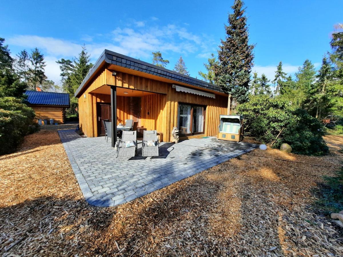 Ferienhaus Leon Mit Sauna Rehburg-Loccum Dış mekan fotoğraf
